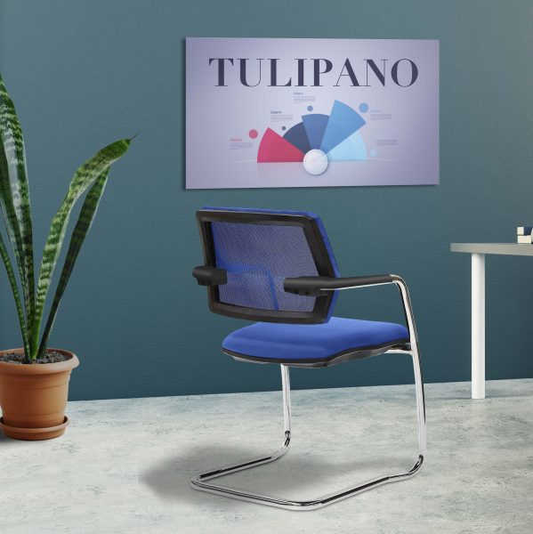 tulip